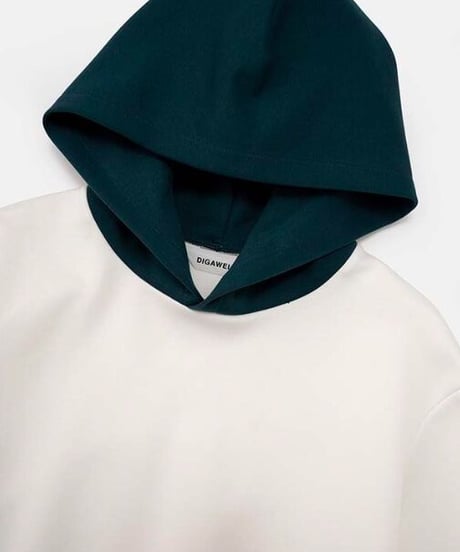 DIGAWEL  Colour Scheme Hoodie【WHITE】