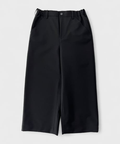 STLTH Wide pants (F/CE.×DIGAWEL)