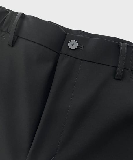 STLTH Wide pants (F/CE.×DIGAWEL)