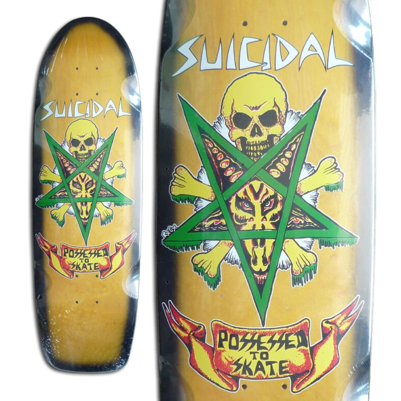 DOGTOWN ドックタウンスーサイダルスケート DTS コンプリート90