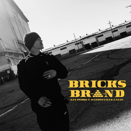 BRICKS BRAND BONER POLO