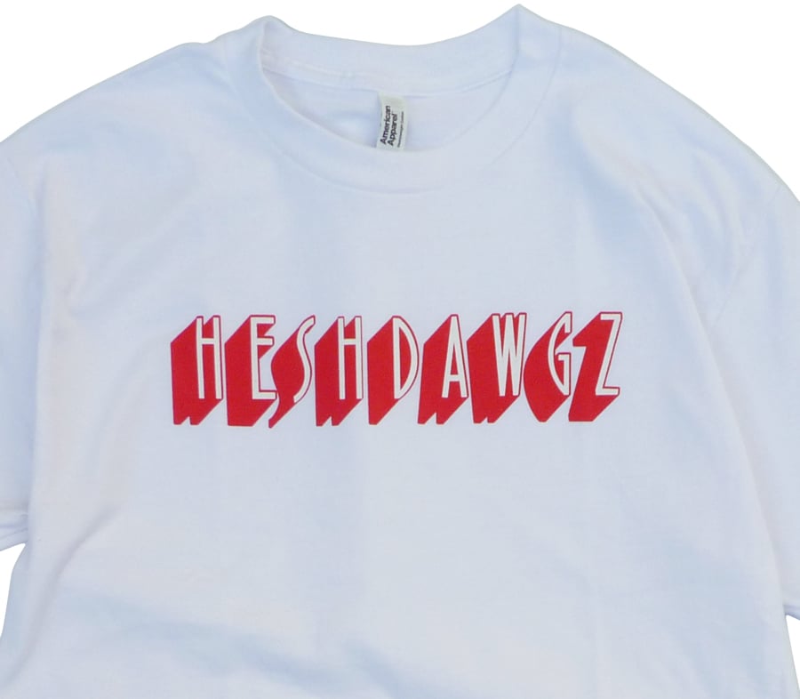 HESH DAWGS ✖︎ ANDY ROY Tシャツ HESHDAWGZ x ANDY ROY SKATE ANDY ROY TEE | HESHD