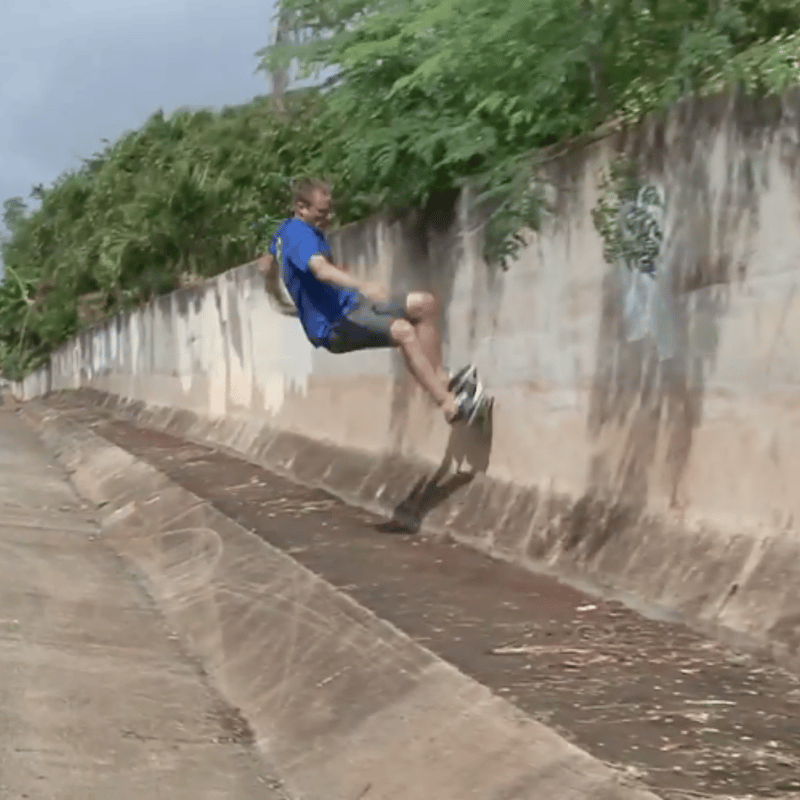 ANTI HERO HECHO POR SKATE SHORTS DARK GREEN | H