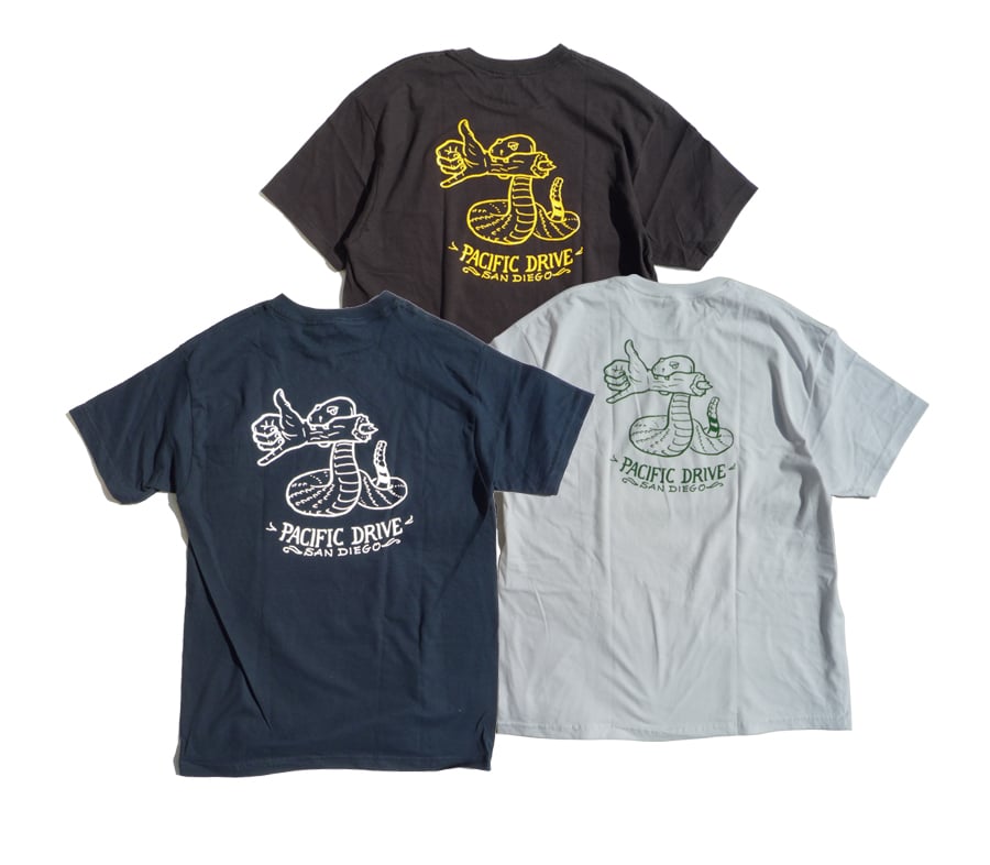 HESHDAWGZ × TODD FRANCIS PIGEON Tシャツ L Todd Francis X Stance Pigeon Street Tee | Stance