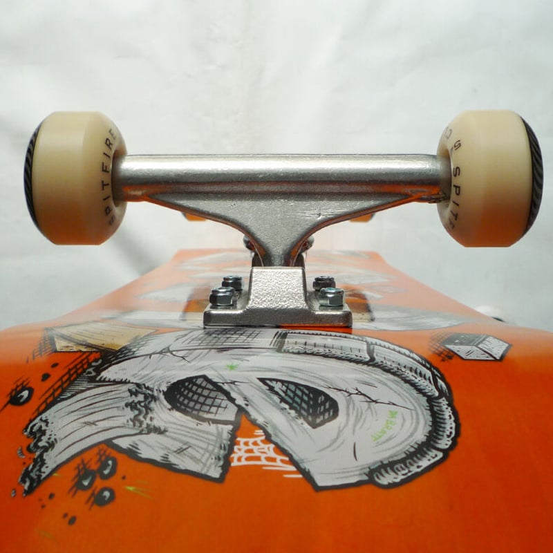 スケートボード カスタム 完成品 Z-FLEX スケートボード 29インチ METAL FLAKE コンプリート