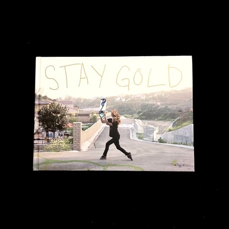 希少 stay gold emerica dvd 限定盤 CATEGORY DVD | Confession
