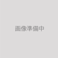 ドゥミ ノアと人気者の詰合わせ　6個入り