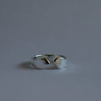 Fragment RING S