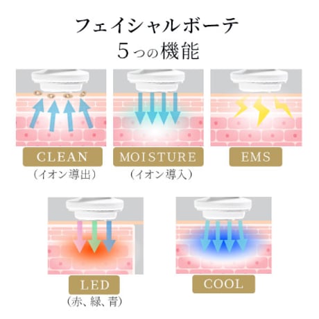 RFラジオ波美顔器