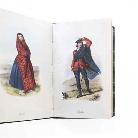 『King Penguin：Highland Dress』