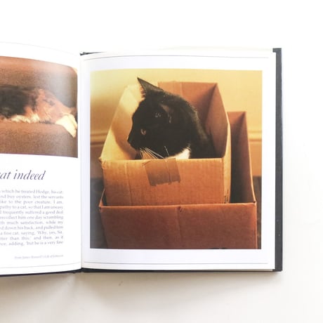 『Martin Leman's Cat Snaps』