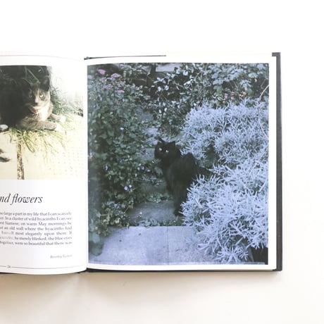 『Martin Leman's Cat Snaps』