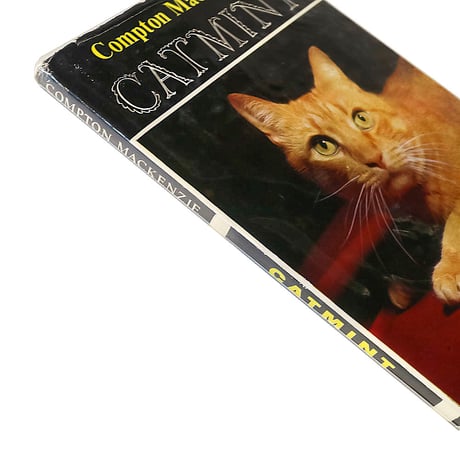 『Catmint』