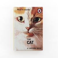 『The Cat』