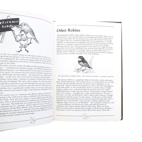 『Robins（British Natural History Series）』