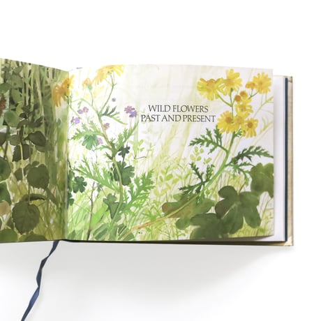 『Field Guide to the Wild Flowers of Britain』