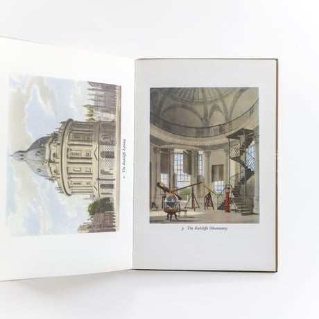 『King Penguin：Ackermann's Oxford』