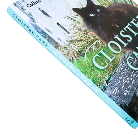 『Cloister Cats』