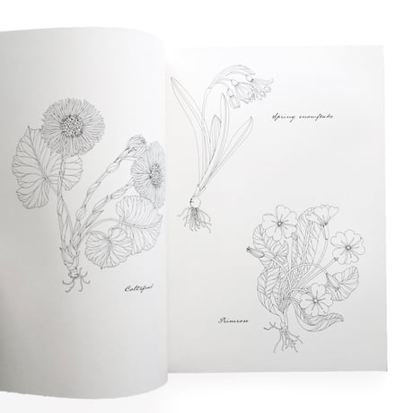 『Floribunda Year：A Flower Colouring Companion』