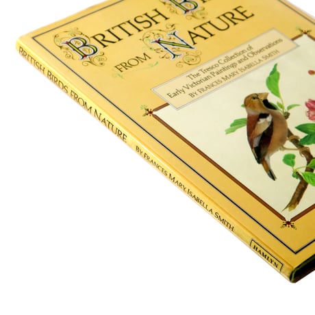『British birds from nature』