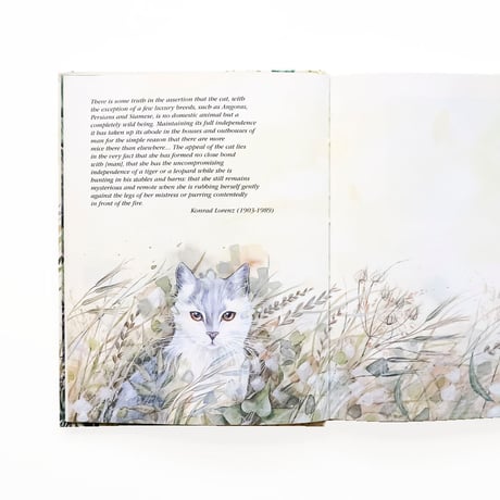 『An Illustrated Cat Lover's Notebook』