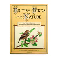 『British birds from nature』