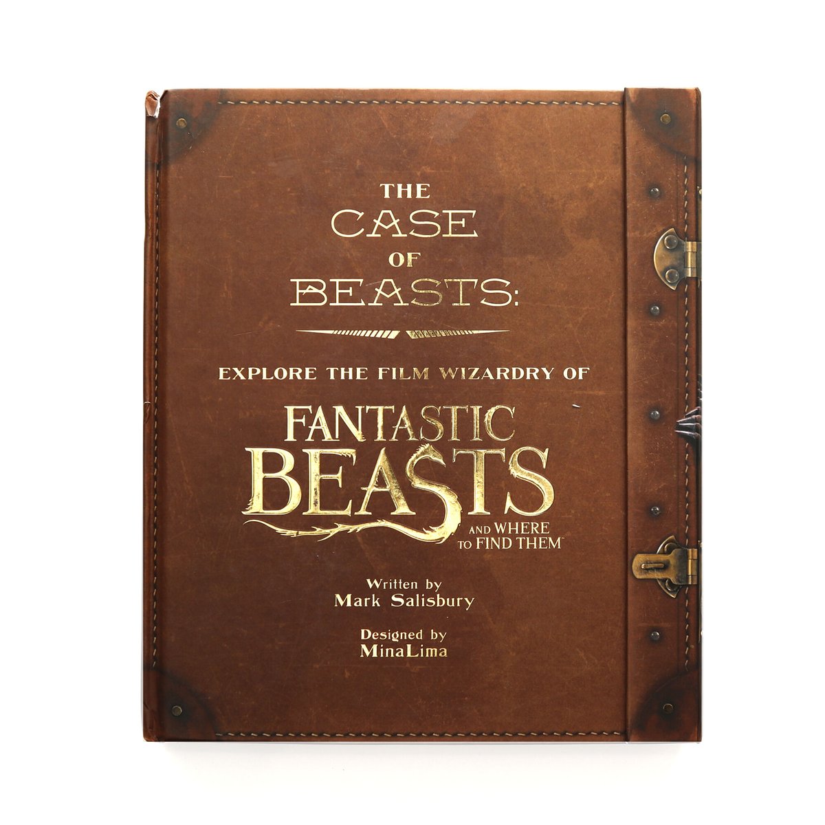 The Case of Beasts:Explore the Film Wizardry o