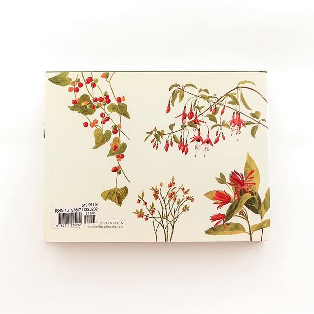 An Edwardian Lady's Flower Album』 | Reading Mug