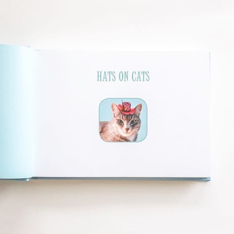 『Tiny Hats on Cats』