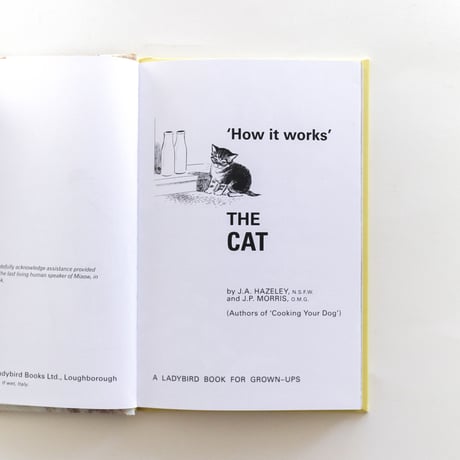 『The Cat』