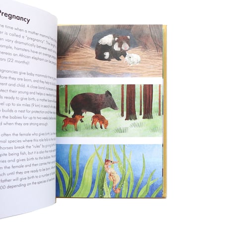 『A Ladybird Book：Baby Animals』