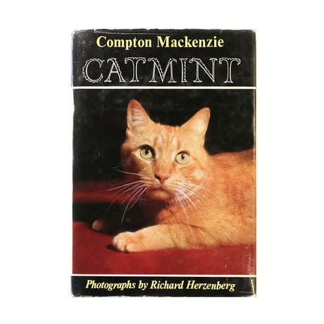 『Catmint』