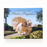 『A Guinea Pig Pride & Prejudice』