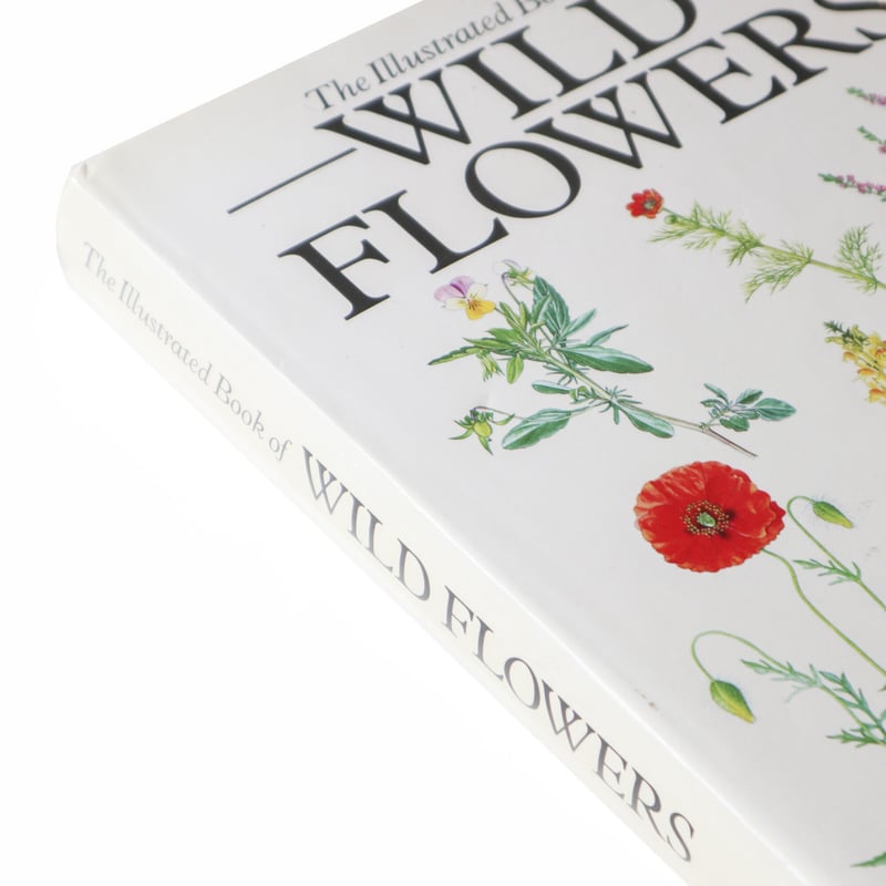 花を摘みかに』 エルネスト・クライドワース 絵本 花を摘みかに