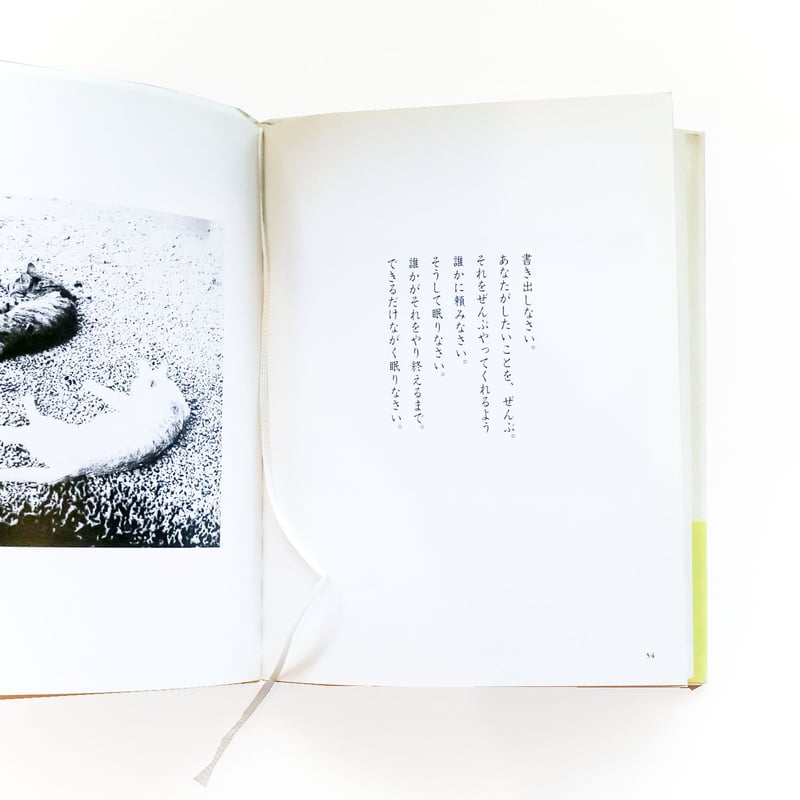 grapefruit juice』 | Reading Mug