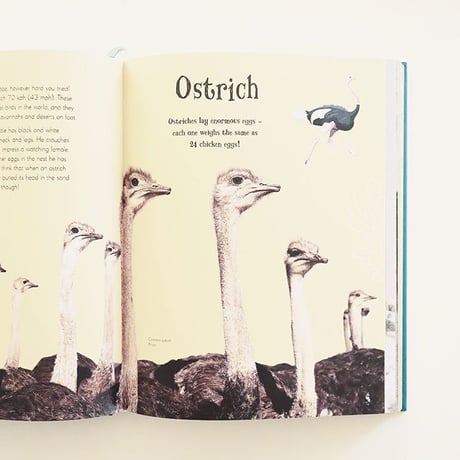『An Anthology of Intriguing Animals』