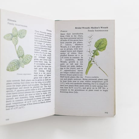 『The Observer's Book：House Plants』