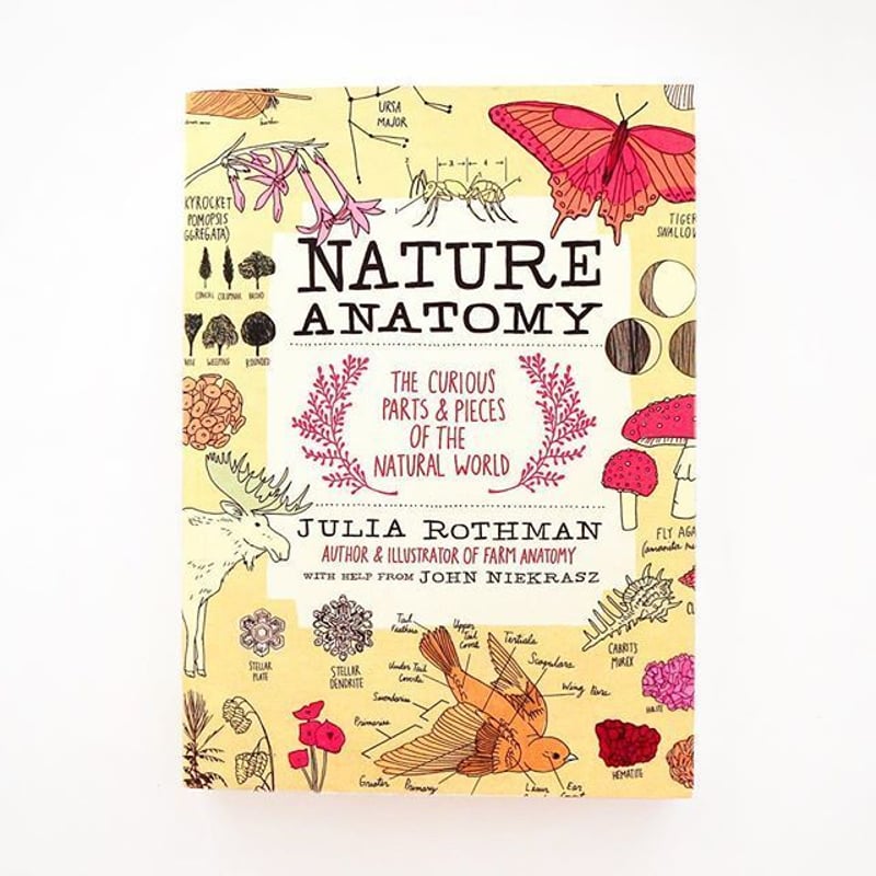 洋書 The Julia Rothman Collection The Julia Rothman Collection: Farm Anatomy, Nature Anatomy
