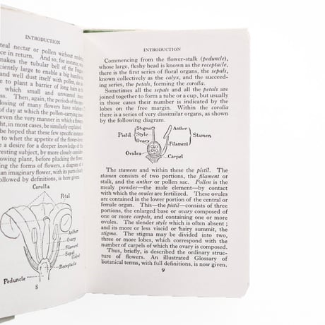 『The Observer's Book of Wild Flowers』