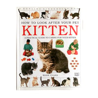 『A Practical Guide to Caring For Your Kitten』