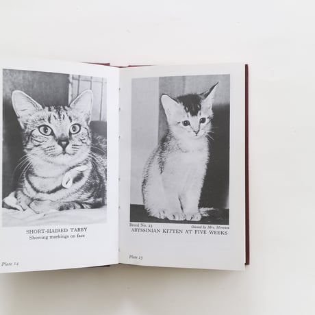 『The Observer's Book：Cats』