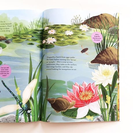 『Beetles, Butterflies and other British Minibeasts』