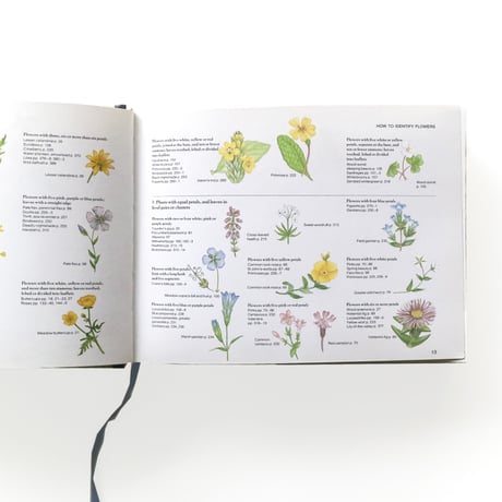 『Field Guide to the Wild Flowers of Britain』