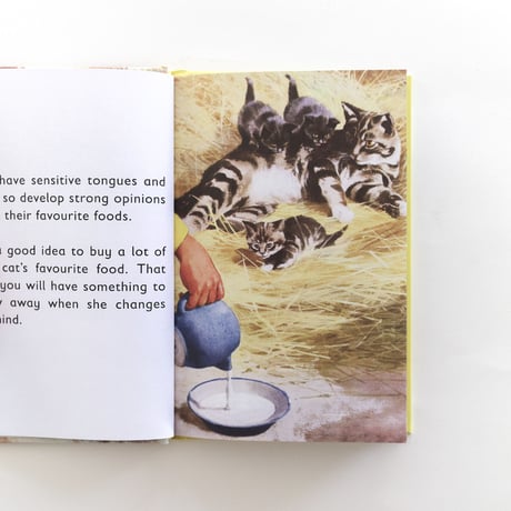 『The Cat』