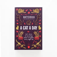 『A Cat A Day：365 stories of fascinating felines to brighten every day』