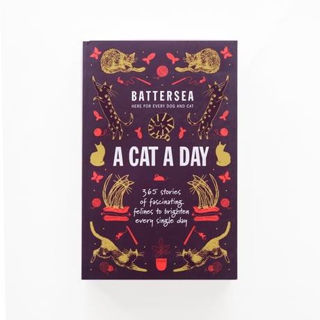 『A Cat A Day：365 stories of fascinating felines to brighten every day』