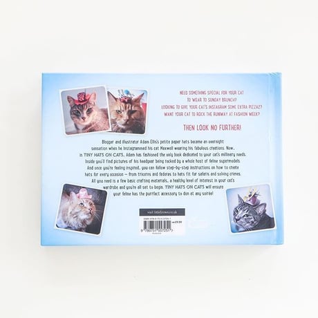 『Tiny Hats on Cats』