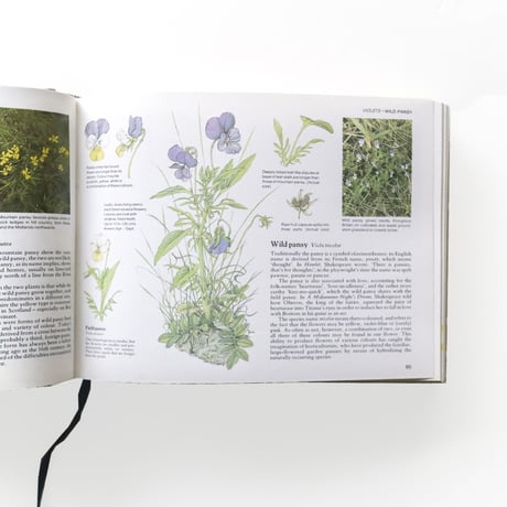 『Field Guide to the Wild Flowers of Britain』