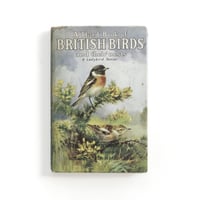 『A Third Book of British Birds and Their Nests』