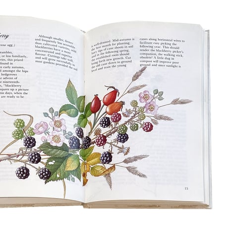 『The National Trust：Fruit from your garden』